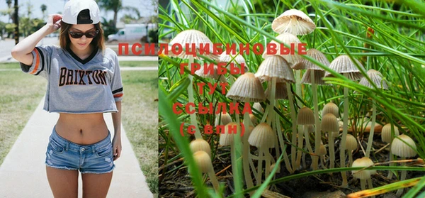 каннабис Богородицк